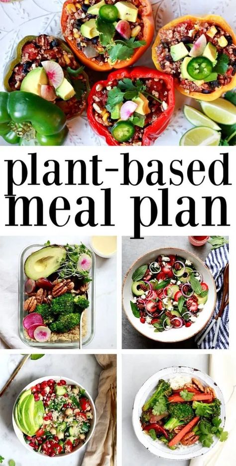 Vegan Weekly Meal Plan, Burger Vegetarian, Sandwich Vegetarian, Free Weekly Meal Plan, Plant Based Diet Meals, Vegan Meal Plan, Plant Based Diet Meal Plan, Plant Based Diet Recipes, Resep Diet