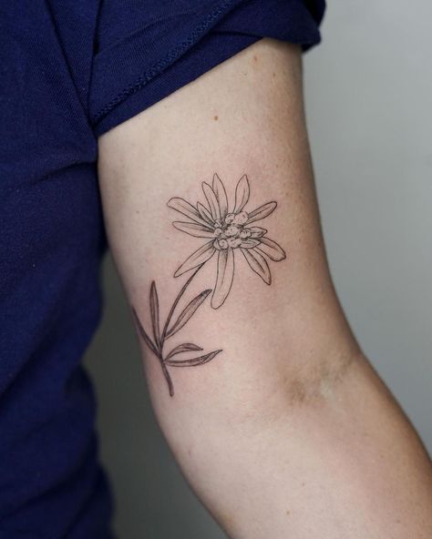 Edelweiss Tattoo, Tattoo Klein, Stella Alpina, German Tattoo, Avatar Tattoo, Arm Tats, Edelweiss Flower, True Tattoo, Cute Little Tattoos