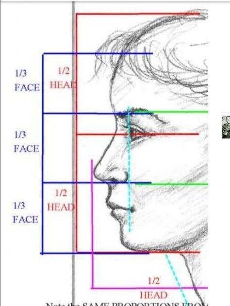 Facial Proportions, Face Proportions, 얼굴 드로잉, Drawing Hair, 얼굴 그리기, Anatomy Drawing, Pencil Portrait, Painting Tips, Drawing Tips