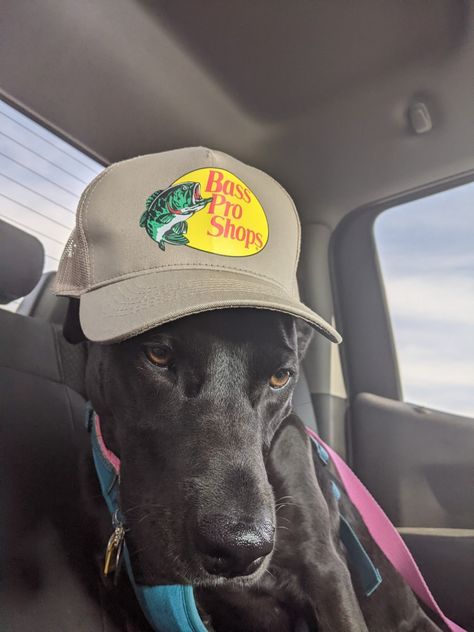 Pro Bass Hat Outfit, Bass Pro Shop Hat Outfit Style, Bass Pro Shop Hat Outfit Men, Bass Pro Hat Outfit, Bass Pro Hats, Bass Pro Shop Hat Outfit, Bass Pro Shops Hat, Bass Pro Shop Hat, Backwards Hat