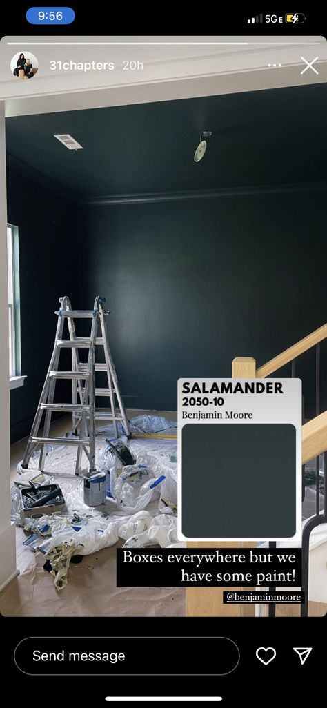 Salamander Exterior Paint, Salamander Paint Color, Salamander Benjamin Moore Exterior, Gothic Living Room Paint Colors, Bm Salamander Paint, Salamander Benjamin Moore, Whiskey Den, Benjamin Moore Salamander, Moody Den