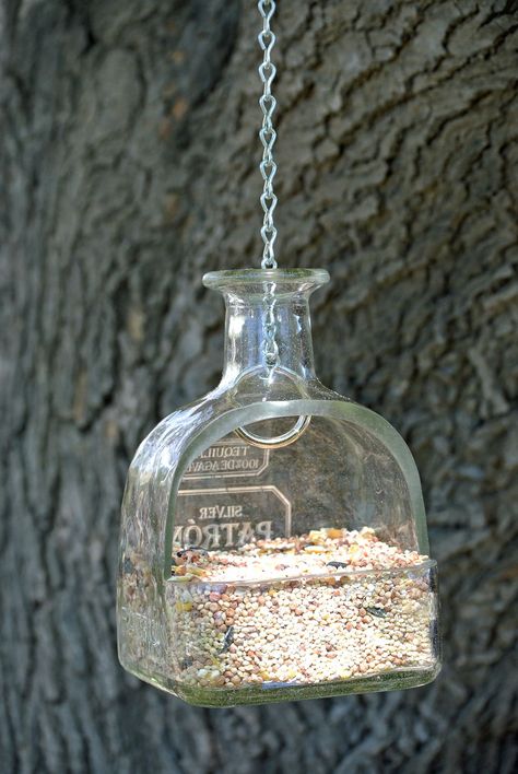 Smoothly cut #Patron #tequilabottle makes for a great #birdfeeder or #succulentplanter From lookingsharpcactus.com #lookingsharpcactus #patrontequila #patrongifts #patrondecor #patronplant #hangingplanter #hangingplanters #hangingplants #hanginggarden #hanginggardens #hangingbottles #hangingsucculents #SucculentPlanter #bottlegarden #bottlegardens #planters #succulent #succulents #succulentplants #pottedsucculents #hangingterrarium #garden #tequila #tequilabottle #bottledecor #birdfeeder Diy Liquor Bottle, Diy Liquor, Patron Bottles, Bottle Bird Feeder, Unique Bird Feeders, Patron Bottle, Glass Bird Feeders, Liquor Bottle Crafts, Patron Tequila