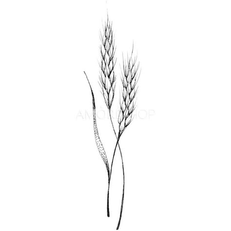 Wheat Sketch, Wheat Tattoo, Chef Tattoo, Branch Tattoo, Simple Tattoos For Guys, Plant Tattoo, Sister Tattoos, Mom Tattoos, Minimal Tattoo