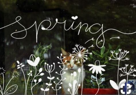 Spring Window Painting, Spring Window Display, Decoration Vitrine, Window Drawing, Spring Window, Chalkboard Designs, Chalk Pens, Chalk It Up, Chalk Markers