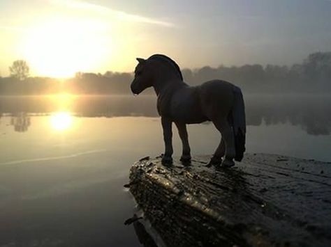 realistic schleich horse pic Schleich Pictures, Schleich Photography, Schleich Ideas, Schleich Horses Stable, Fjord Horse, Wolf Images, Beautiful Horse Pictures, Horse Diy, Appaloosa Horses