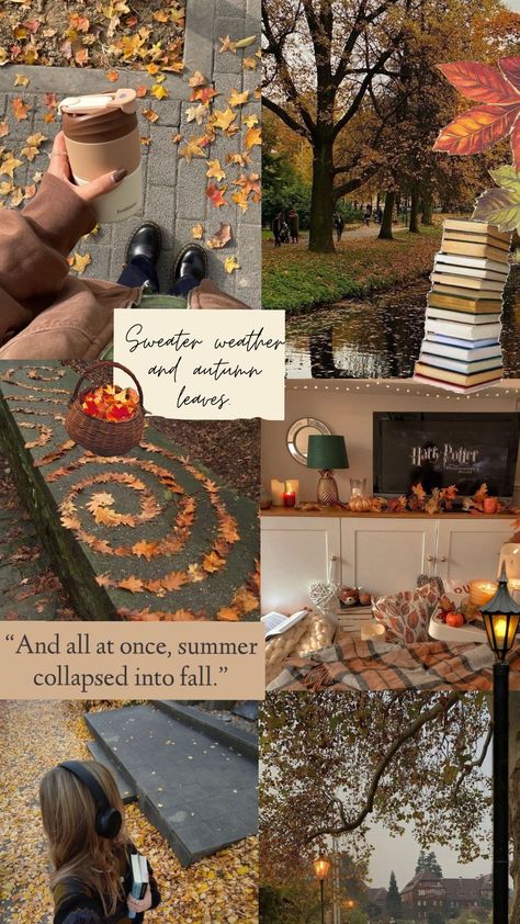 fall aesthetic 🍁🎃 Fall Astethic, Fall Moodboard, Autumn Scenes, Fall Aesthetic, Autumn Aesthetic, Autumn Leaves, Things To Do, Stars, Pins