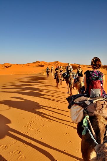 Morocco Camel Trekking Merzouga Desert Morocco, Marsa Alam, Morocco Tours, Desert Tour, Visit Morocco, Morocco Travel, 8 Days, The Desert, Travel Around The World