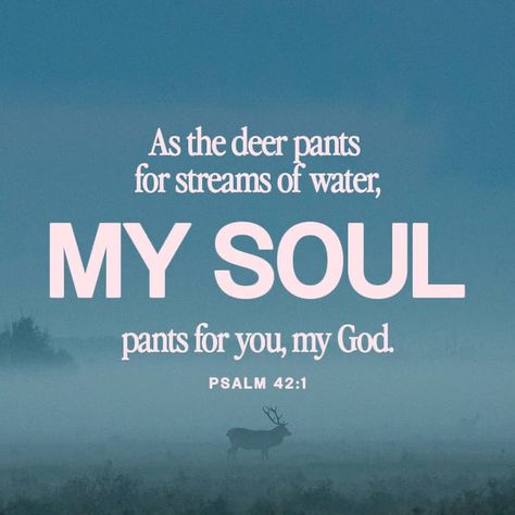 Psalm 42 1, As The Deer, Psalm 42, Youversion Bible, Amplified Bible, New American Standard Bible, Audio Bible, Prayer For Today, Bible Versions