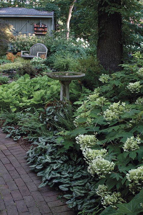 Shade Garden Design, Shade Garden Plants, Backyard Vegetable Gardens, Cottage Garden Design, Vegetable Garden Design, Woodland Garden, Side Yard, Shade Plants, Lush Garden