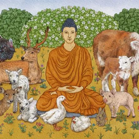 Art Buddha, Buddhist Philosophy, Quotes Music, Factory Farming, Gautama Buddha, Buddha Painting, Buddha Image, Buddha Quotes, Buddha Art