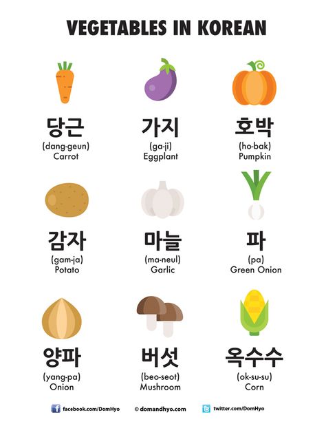 Hey everyone! Here is today's vocabulary: Vegetables in Korean.#DomAndHyo #KoreanLanguage #Korean Korean Basic Vocabulary, Korea Vocabulary, Vegetables In Korean, Colors In Korean, Korea Learning, Korean Alphabet Hangul, Korean Vegetables, Korean Vocab, Korean Learn