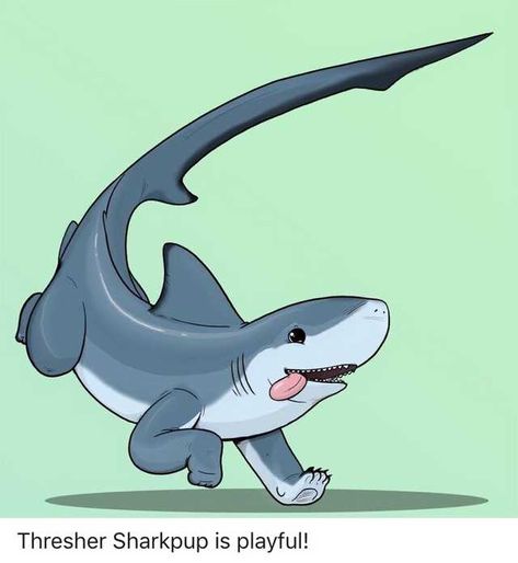 Sharkpup Art, Sea Puppies, Shark Puppy, Blacktip Shark, Dog Shark, Dragon Dog, Shark Dog, Land Shark, Ocean Stuff