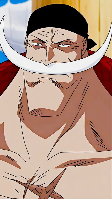 One Piece Barba Blanca One Piece, Barba Branca One Piece, Beard Pictures, Edward Newgate, White Beard, Character Reference, One Piece Manga, Anime Boy, Phone Case