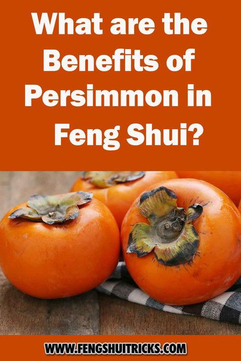 In the world of Feng Shui, where energy flow and symbols are very important for making spaces harmonious, fruits are often used as strong symbols. That is wht persimmons are special because they are different and have cultural meaning. Read this post to know the symbolism of persimmon in feng shui. Benefits Of Persimmons, Persimmon Benefits, Success Wishes, Persimmon Fruit, Strong Symbol, Building Tips, Watercolor Ideas, Good Luck To You, Energy Flow