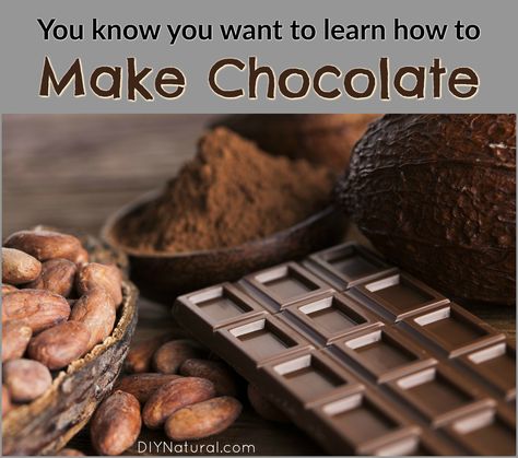 Easy Hot Cocoa Recipe, Chocolate Mars, Chocolate From Scratch, Homemade Chocolate Bars, Chocolate Candy Recipes, Chocolate Lasagna, Chocolate Recipes Homemade, Hot Cocoa Recipe, Cocoa Recipes