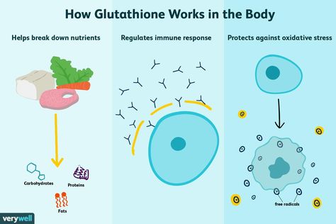 Immune Fortress @Immunefortress · 22h Glutathione is the body’s own natural antioxidant. Antioxidants neutralize free radical activity in the body &  are vitally important for the function of a healthy immune system.  Shop our products today to boost your immunity! Glutathione Benefits, Glutathione Supplement, Reactive Oxygen Species, Dna Repair, Small Study, Immune Response, Free Radicals, Amino Acids, Immune System