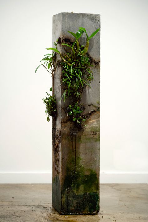 The Path of Least Resistance was a sculptural installation and photographic series created for exhibition at MOP Projects, Sydney in November 2009. Path Of Least Resistance, String Garden, Decoration Beton, Plantas Bonsai, Concrete Sculpture, Concrete Crafts, Concrete Projects, Concrete Art, Concrete Diy