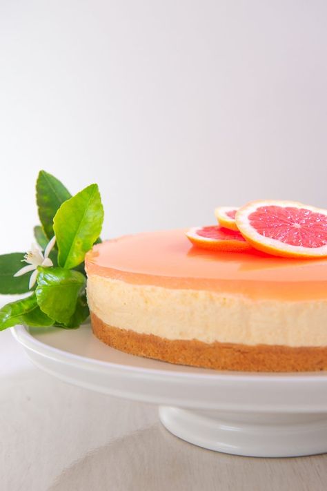 Grapefruit Dessert Recipes, Grapefruit Cheesecake, Grapefruit Desserts, Sophisticated Desserts, Gin And Grapefruit, Citrus Cheesecake, Grapefruit Dessert, Grapefruit Cake, Cheesecake Ideas