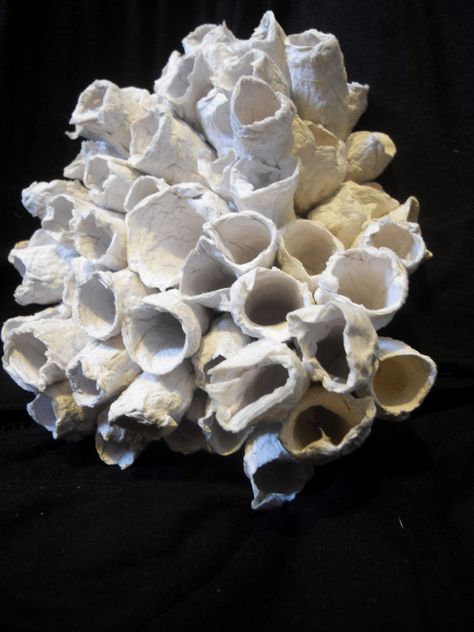 toilet tissue coral sculpture | Flickr - Photo Sharing! Under The Sea Decorations, Coral Sculpture, Underwater Theme, Sea Decor, Under The Sea Theme, Toilet Tissue, Sea Birthday, Under The Sea Party, Mermaid Theme