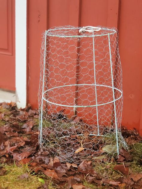 Chicken Wire Plant Protection, Chicken Proof Plants, Chicken Wire Cloche Diy, Chicken Proof Garden, Chicken Wire Garden, Garden Supports, Chicken Wire Projects, Chicken Wire Art, Chicken Wire Basket