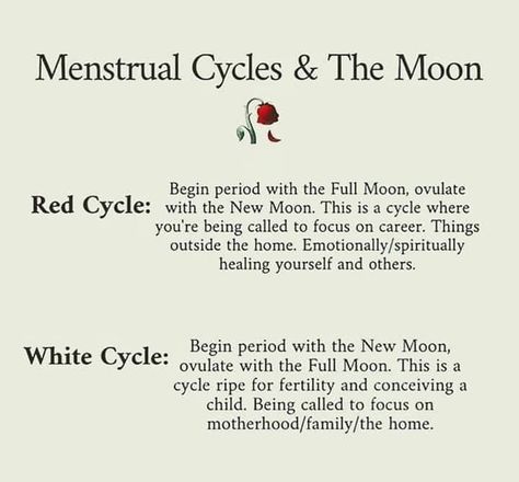 Red Moon Cycle, Period Health, Happy Full Moon, Period Cycle, Mother Earth Art, Healthy Period, Herbal Education, Cycle Syncing, Balance Hormones Naturally