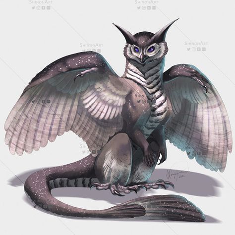 Twitter Owl Monster Art, Owl Monster, Sooty Owl, Owl Dragon, No Light Pollution, Fantasy Owl, Owl Character, Angel Oc, Rpg Ideas