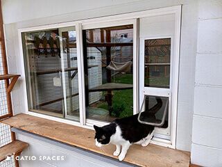 Cat Door For Window, Hiding Cat Litter Box, Kat Diy, Cat Patio, Outdoor Cat Enclosure, Outdoor Cat House, Cat Window, Play Furniture, Cat Enclosure