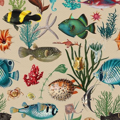 Ocean Fish Wallpaper, Pillow Mixing, Teal Coral, Ocean Fish, Outdoor Cushion Covers, Fish Wallpaper, Plush Rug, Duck Egg Blue, Coral Red