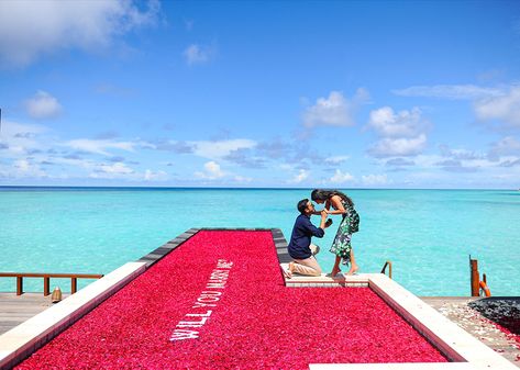 Proposal Maldives, Proposal Videos, Maldives Vacation, Proposal Pictures, Maldives Travel, Indian Wedding Planning, Wedding Register, Wedding Planning Websites, Surprise Proposal