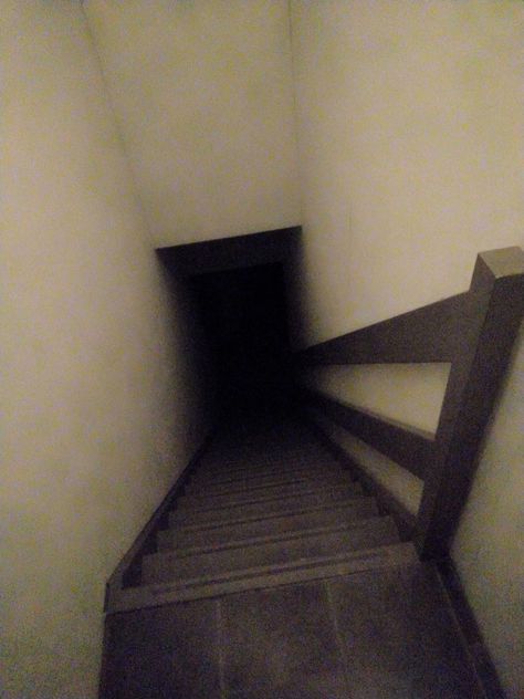 Stairways have always haunted me. Days Till Halloween, Raise The Dead, Creepy Facts, Liminal Space, Creepy Pictures, Horror Comics, Baby Owls, Warm Blankets, Childrens Art