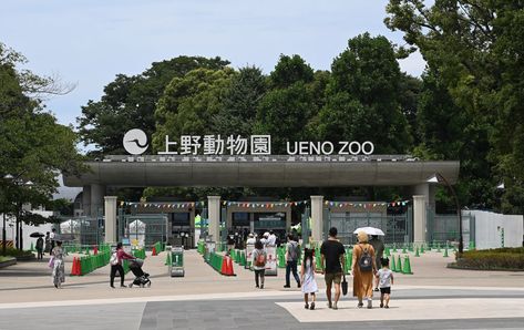 Ueno Zoological Gardens | Tokyo Attractions | Travel Japan | JNTO Tokyo Attractions, Tokyo Things To Do, Ueno Zoo, Japan Bucket List, Ueno Park, Zoological Garden, Giant Pandas, Nature Museum, Japan History