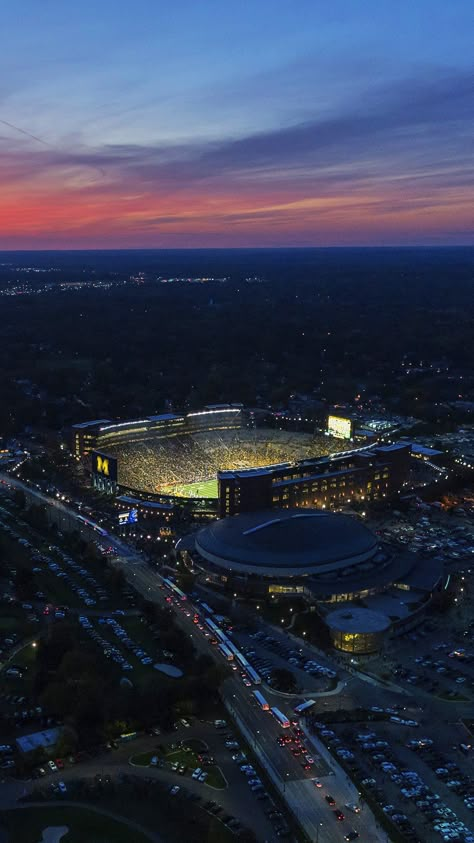 Umich Aesthetic, Nfl Football Stadium, U Michigan, University Of Michigan Logo, College Goals, Michigan Go Blue, University Of Michigan Wolverines, Wolverines Football, Michigan Wolverines Football