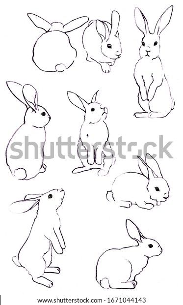 Bunny Drawing Side View, Lop Rabbit Drawing, Line Art Rabbit, Rabbit Sketches, Easter Rabbit Illustration, Rabbits Wallpaper, Running Drawing, Bunny Sketches, Rabbit Artwork