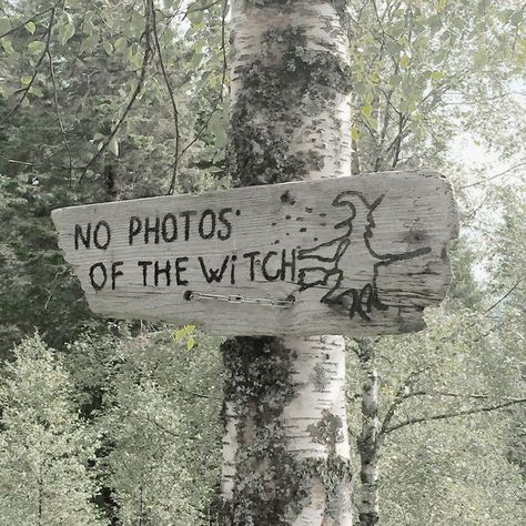 Elizabeth + Core + Aesthetic, The Cruel Prince, Bergen Norway, Fairy Aesthetic, The Witches, Holly Black, Season Of The Witch, Witch Aesthetic, The Witch