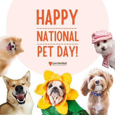 @lickyousillyyumyum shared a photo on Instagram: “We’re lucky to have them! Happy National Pet Day! Shouldn’t it be every day?😃💕 . . . . . #nationalpetday #nationalpetday2021…” • Apr 12, 2021 at 3:08pm UTC Cat Raw Food, Pet Advertising, National Pet Day, Frozen Dog, Love Your Pet, Pet Day, Dry Cat Food, Raw Food, Dry Dog Food