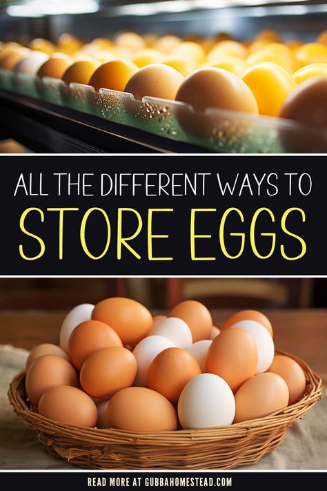 All The Different Ways To Store Eggs Preserving Eggs, Storing Eggs, Bulk Store, Egg Game, Boat Galley, Freezing Eggs, Pickled Eggs, Raising Backyard Chickens, Kitchen Games