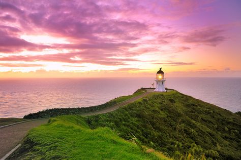 Cape Reinga Lighthouse New Zealand Kauri Tree, Cape Reinga, New Zealand Itinerary, North Island New Zealand, Bay Of Islands, Air New Zealand, New Zealand Travel, White Cloud, Scenic Beauty