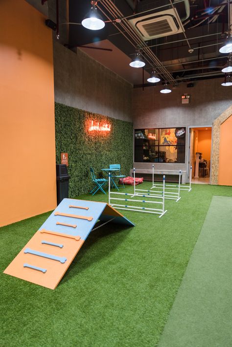 This indoor dog park is the perfect date for you and your dog - NOLISOLI Dog Run Aesthetic, Indoor Dog Training Room, Agility Equipment For Dogs, Indoor Dog Park Play Areas, Dog Training Facility Decor, Dog Gym Ideas, Dog Daycare Event Ideas, Indoor Dog Park Design, Dog Play Area Indoor Ideas