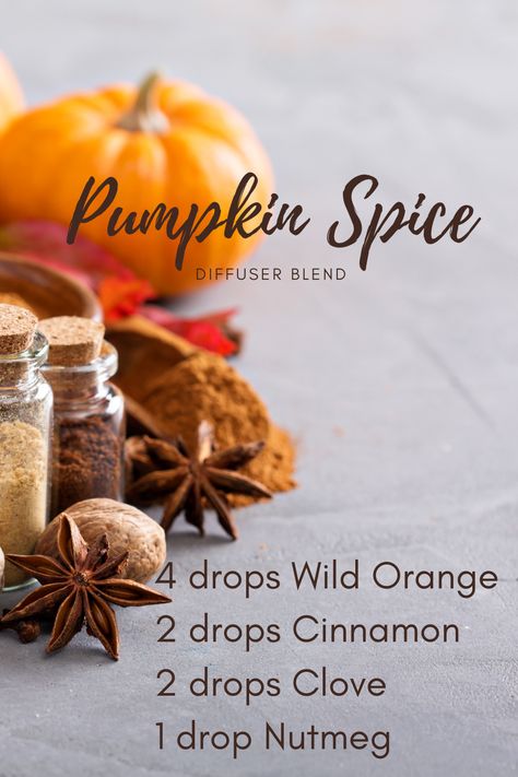 Nothing says FALL like this "Pumpkin Spice" diffuser blend. The combination of the spicey and fruty oils make for a great creation that will not only have your home smelling like Thanksgiving dinner but also purifying the air with these potent all natural essential oils. Essential Oil Potpourri, Essential Oils Scents, Fall Eo Diffuser Blends, Fall Morning Essential Oil Blend, Spiced Cider Essential Oil Blend, Fall Blends Essential Oils, Mabon Essential Oil Blends, Thanksgiving Diffuser Blends Yl, Revive Oil Blends