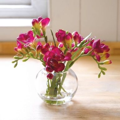 Pink Orchids Centerpiece, Orchid Bowl, Freesia Flower, Kiel Germany, Freesia Flowers, Tulips Arrangement, Orchid Centerpieces, Iris Painting, Orchid Arrangements