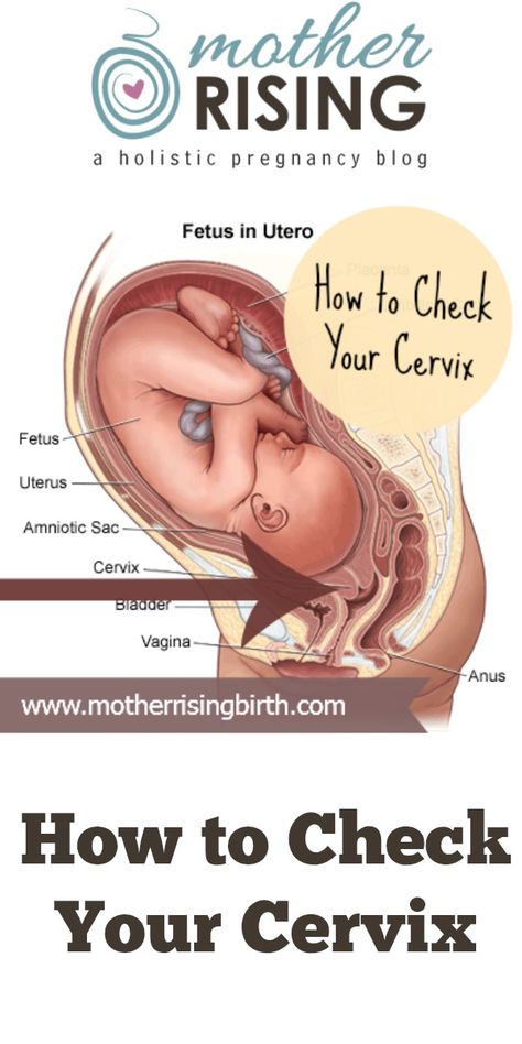 Have you ever tried to check your cervix? Here are step by step instructions on how to check your cervix during pregnancy. Cervical Dilation, Massage Bebe, Pregnancy Hacks, Newborn Hacks, Pumping Moms, Natural Pregnancy, Baby Sleep Problems, Trimesters Of Pregnancy, Preparing For Baby