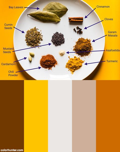 Indian Spices With Labels Color Scheme from colorhunter.com Food Color Scheme, Indian Color Palette, Indian Packaging, Food Colors Palette, Food Company Logo, Food Brand Logos, Sushi Logo, Logo Design Graphics, Paint Color Combos