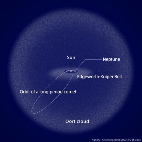 Giant Oort Cloud Comet Lights Up in the Outer Solar System - Sky & Telescope - Sky & Telescope Oort Cloud Our Solar System, Solar System Diagram, Comets And Asteroids, Oort Cloud, Science Images, Kuiper Belt, Astronomical Observatory, Astronomy Facts, Planets And Moons