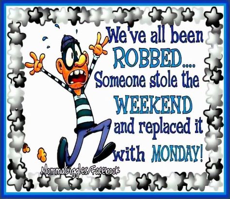 We've all been robbed...someone stole the weekend and replaced it with Monday Work Sayings, Monday Sucks, Monday Greetings, Morning Hugs, Monday Humor Quotes, Monday Morning Quotes, Good Morning Funny Pictures, Daily Greetings, Weekday Quotes