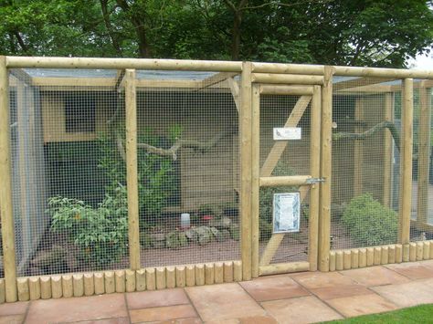 full (1600×1200) Pheasant Aviary Ideas, Outside Bird Aviary Ideas, Bird Cage Ideas Outdoor, Pheasant Aviary, Birds Cage Ideas Outdoor, Pheasant Enclosures, Bird Aviary Ideas Outdoor, Aviary Ideas Outdoor, Diy Aviary