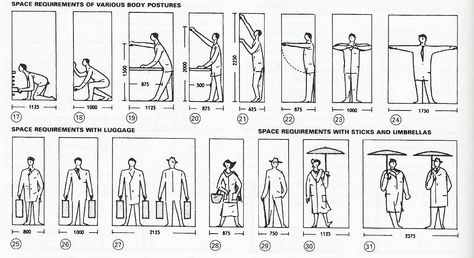 About Design: Measurements Architect Data, Human Dimension, Architecture Concept Drawings, Body Posture, Bar Graphs, Occupational Health And Safety, Visual Display, Learning Spaces, Tiny House Design