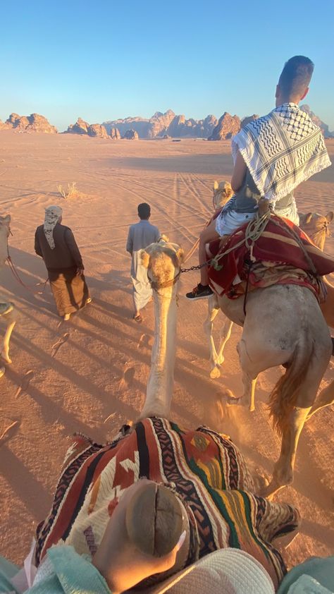 Egypt Animals, Arab Desert, Car Tracking, Camel Riding, History Events, Desert Travel, Desert Safari, Dubai Desert, Morocco Travel