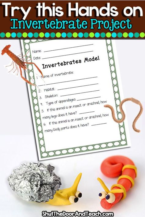 Try this fun hands on project to teach about invertebrates with exoskeletons and without! #lifescience #STEAM Invertebrates Activities For Kids, Healthy Food Activities For Kids, Food Activities For Kids, Kids Healthy Food, Earth Day Activities For Kids, School Activities For Kids, Healthy Food Activities, Outside Activities For Kids, Vertebrates And Invertebrates