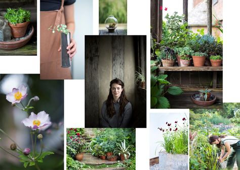 Frances Tophill Container Book - Rachel Warne Frances Tophill, Freelance Photographer, Life Style, Contemporary Style, Editorial, France, Photographer, Plants, Books