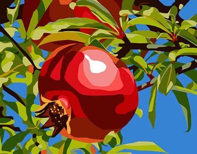 Block Colour Painting, Colour Block Painting, Pomegranate Illustration, Pomegranate Poster, Realistic Render, Vibrant Paintings, Pomegranate Tree, Pomegranate Art, Colour Rendering